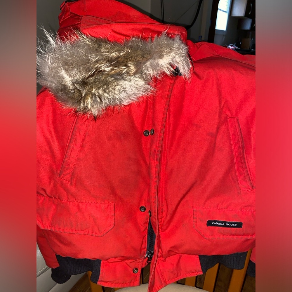 Canada goose red chilliwack bomber
